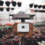 sensor in a greenhouse