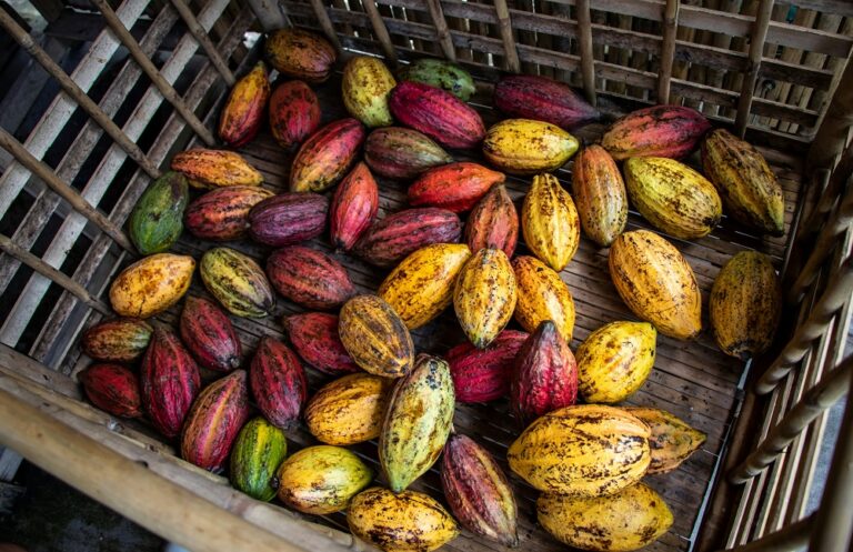 cocoa pods, cacao, cocoa futures, trading