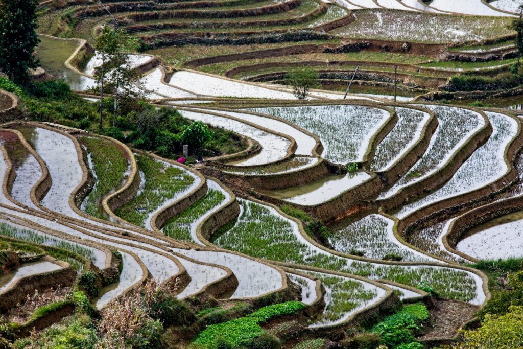 China’s Ambitious Food Security Goals: A Difficult Path Ahead