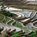 China’s Ambitious Food Security Goals: A Difficult Path Ahead