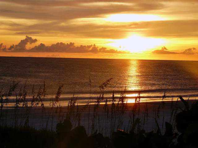 Gulf of Mexico