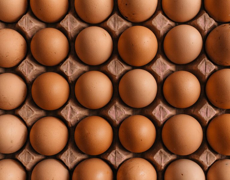 egg prices