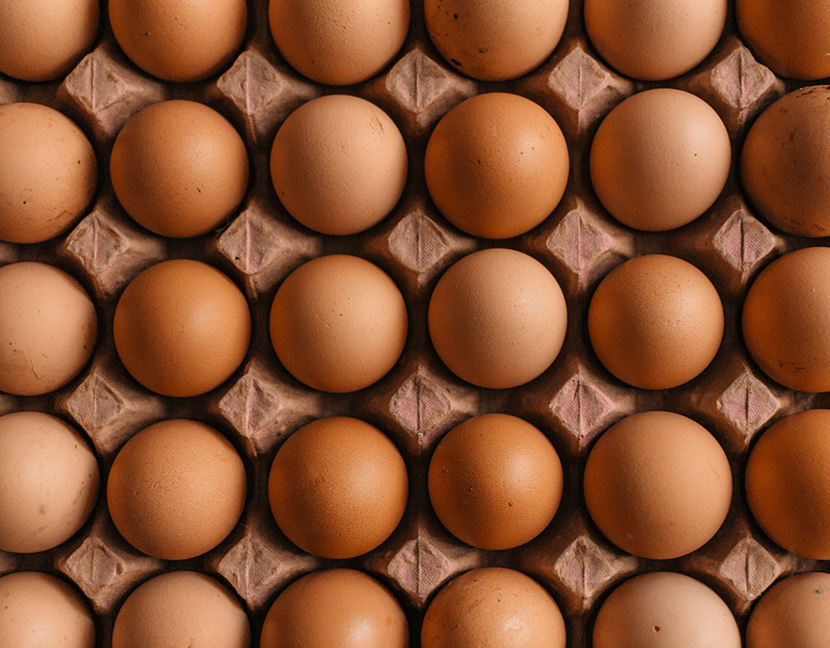 egg prices
