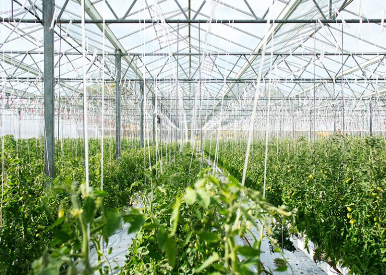 federal agtech