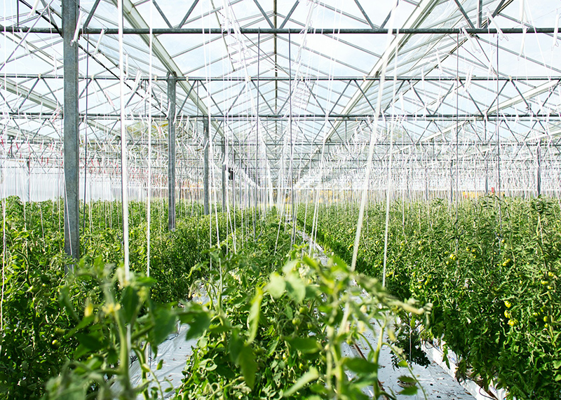federal agtech